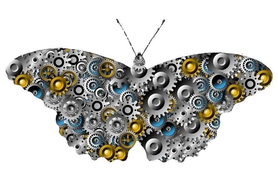 The evolutionary organization (Part I, II and&nbsp;III)